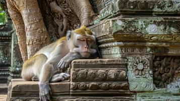 AI generated Monkey relaxing on stairs with a tree behind it, in the style of Buddhist art and architecture. photo