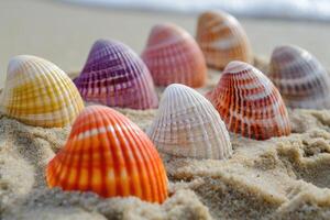 AI generated Collection of various colorful seashells on sand. photo