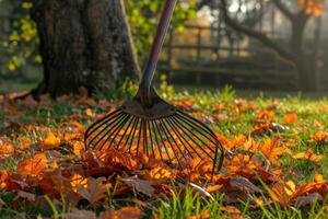 AI generated Photo raking leaves with fan rake from the lawn.