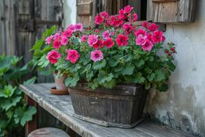 ai generado geranio flores en plantador en un patio de un antiguo casa con rústico decoración. foto