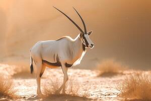 AI generated Arabian oryx antelope standing in the middle of a desert photo