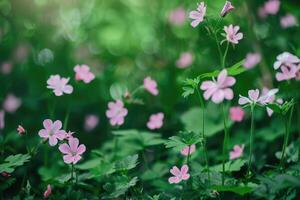 AI generated Pink flowers among the greenery in the park. photo