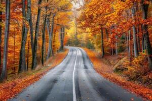 AI generated Beautiful scenery of a road in a forest with a lot of colorful autumn trees. photo