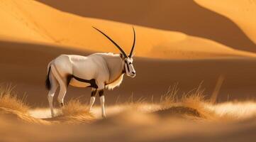 AI generated Arabian oryx antelope standing in the middle of a desert photo