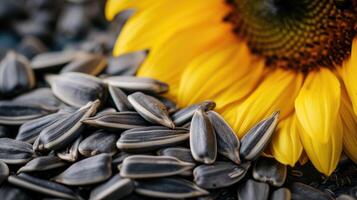 AI generated Organic sunflower seeds and flowers on wooden table photo