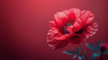 ai generado rojo flores adornando un pared foto