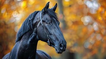 ai generado negro caballo en pie en frente de bosque foto