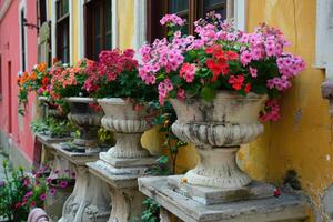 AI generated Decorative flowers in cement pots. photo