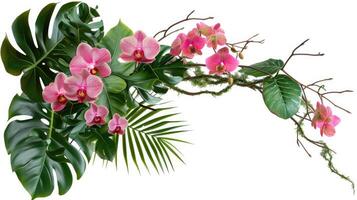 AI generated Floral arrangement with tropical leaves and orchids. Tropical flower decor on tree branch on white background. photo