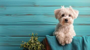 AI generated Small Dog Sitting on Wooden Floor Next to Potted Plant photo