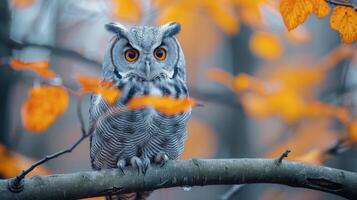 ai generado cerca arriba de búho con naranja ojos foto