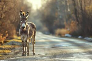 AI generated Donkey standing on the road near forest at early morning or evening time. Road hazards, wildlife and transport. photo