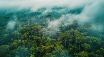 AI generated Amazonian lush rain forest jungle. Save the planet concept. photo