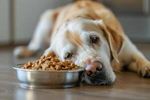 ai generado ver de perro con alimento. foto