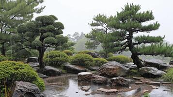 AI generated Japanese garden pine trees in spring rain. photo