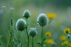 AI generated Teasels with flowers against green background. photo