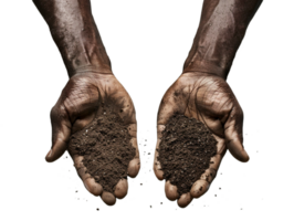 AI generated a handful of soil with transparent background png