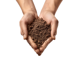 AI generated a handful of soil with transparent background png