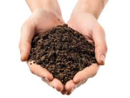 AI generated a handful of soil with transparent background png