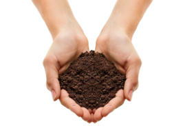 AI generated a handful of soil with transparent background png