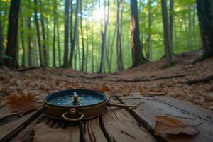 AI generated Vintage compass on the log in forest, warm sun light photo