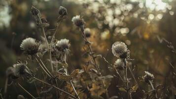 AI generated Beautiful growing flower burdock thistle on background meadow photo