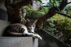 AI generated Cat relaxing on stairs with a tree behind it, in the style of Buddhist art and architecture. photo