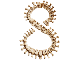 AI generated number eight made of bones png