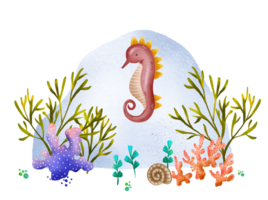 Hand-drawn postcard with the underwater world. Seahorse with sea colored algae and coral. Seascape. At the bottom of the ocean and sea. Cute illustration for children png