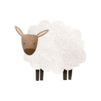 White cartoon sheep. Cute cartoon animals. Rural farm animals. Cute hand drawn baby illustration on isolated background png