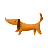 Illustration of a dachshund. Hand-drawn illustration with a dog png