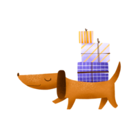 Dachshund dog with holiday gifts. Colored gifts. Funny birthday illustration. Greeting card with dachshund. Hand-drawn illustration png