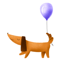 Dachshund dog with a ball on its tail. Funny birthday illustration. Greeting card with dachshund. Hand-drawn illustration png
