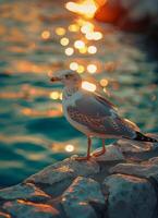 ai generado Gaviota en pie en rock por agua foto