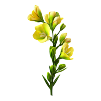 AI generated Freesia flower isolated on transparent background png