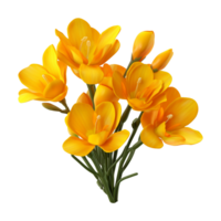 ai genererad fresia blomma isolerat på transparent bakgrund png