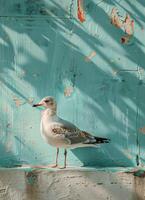 ai generado Gaviota en pie en rock por agua foto