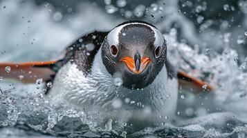 AI generated Penguin Splashing in Water on Rainy Day photo