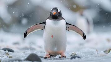 AI generated Penguin Standing on Rocks and Water photo