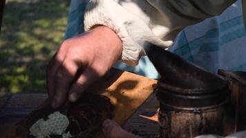 Beekeeper is taking out the honeycomb on wooden frame to control situation in bee colony. video