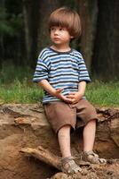 caucásico chico en a rayas t camisa sentado en el madera y jugando con un cono. naturaleza, verano, mirando a el cámara foto