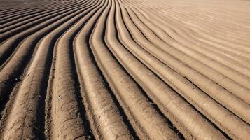 AI generated Symmetrically plowed field with uniform patterns photo