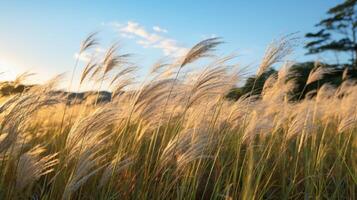 AI generated Windblown tall grass in an open field photo