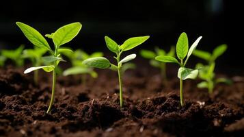 ai generado nuez árbol plántulas adornado con minúsculo y verde protector cáscaras foto