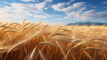 AI generated Barley field creating a picturesque scene in the wind photo