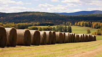 AI generated Rows of neatly piled hay bales creating an orderly arrangement photo