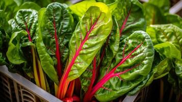 AI generated Baskets filled with vibrant and colorful rainbow Swiss chard photo