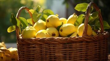 AI generated Woven basket filled with ripe, fragrant quinces photo