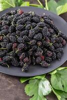 Mulberry in a bowl. Blackberry harvest in summer. Fruit food background. photo