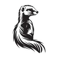 Mongoose Vector Stock Illustrations, Vectors